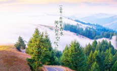 开云体育app-哈登爆发，步行者最后时刻击败湖人，一场属于坚韧的胜利