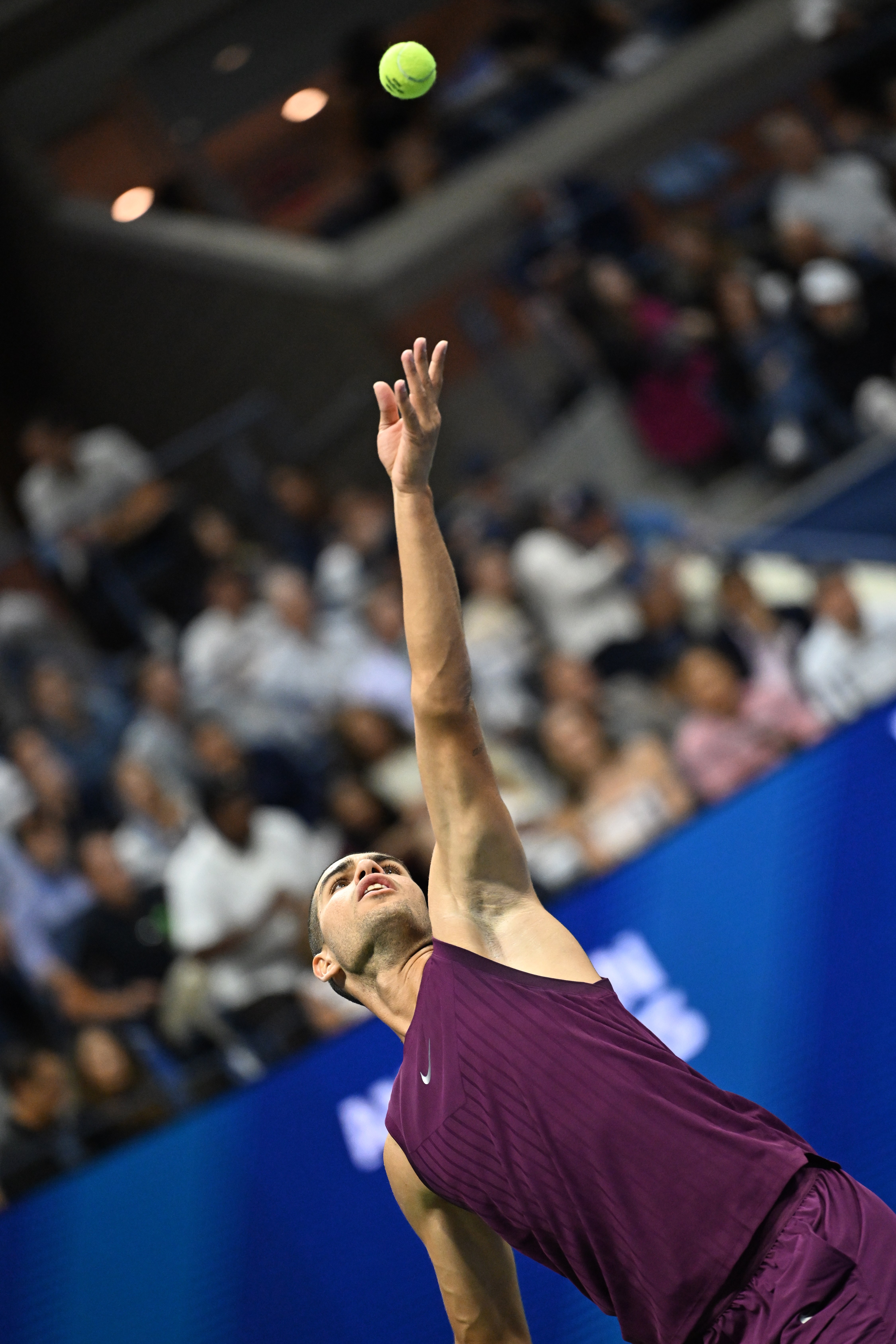 欧洲网球队翻盘日本网球队，阿尔卡拉斯制霸全场的简单介绍