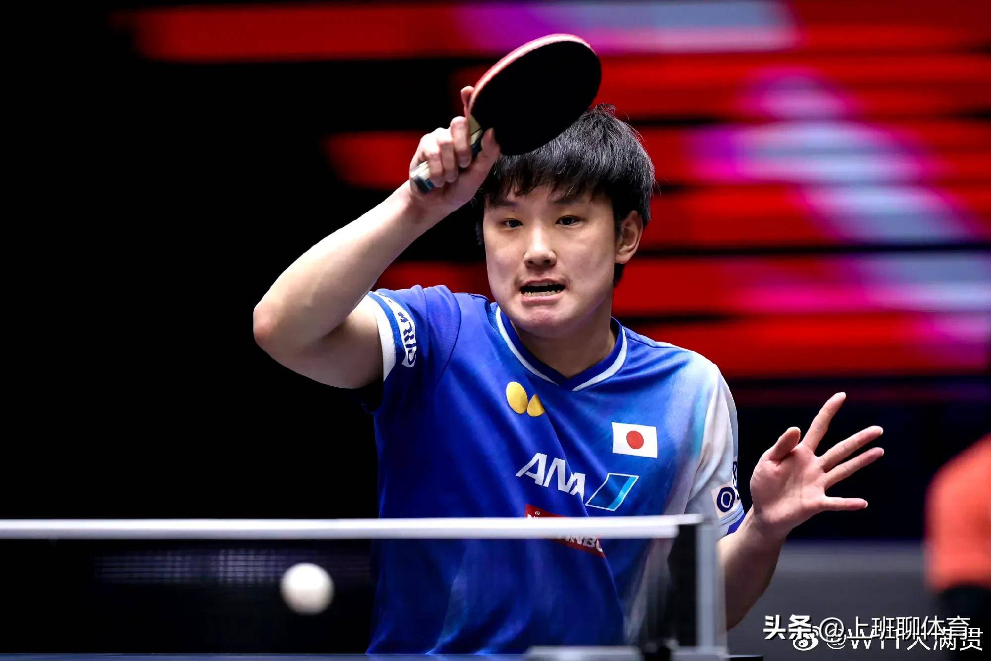 关于法国队完胜日本队，张本智和惊艳四座的信息