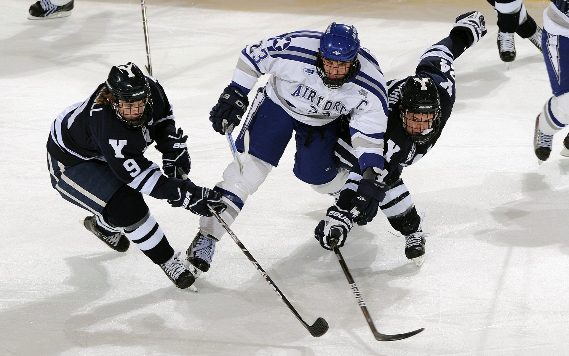 世界排名争夺战之夜，卡瓦哈尔数据全面爆炸
